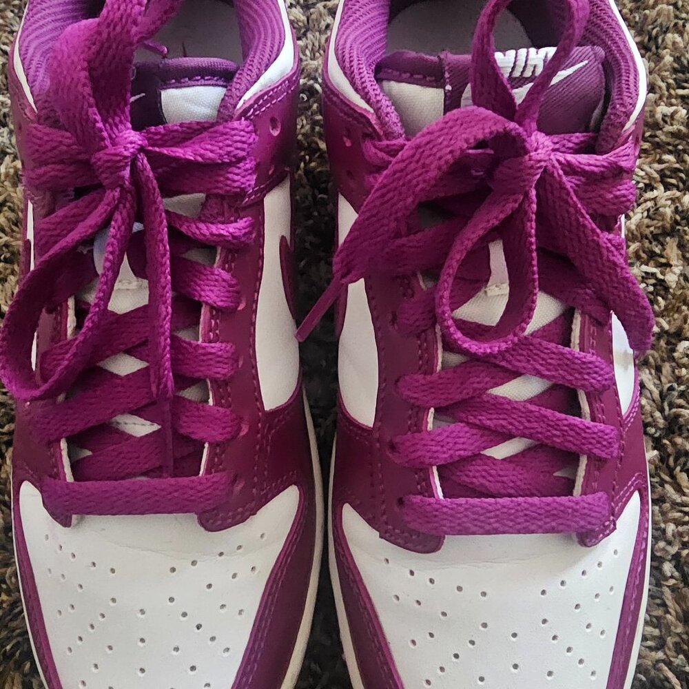 Viotech and white dunk low shoes